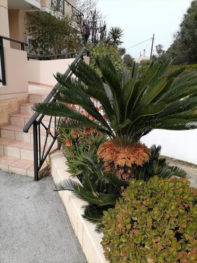 Kydoni Apartments And Studios Agia Marina (Crete) Exterior photo